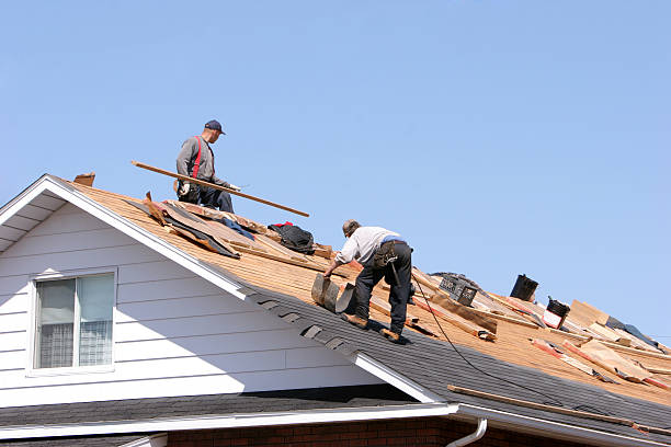 Best Cold Roofs  in New London, MN